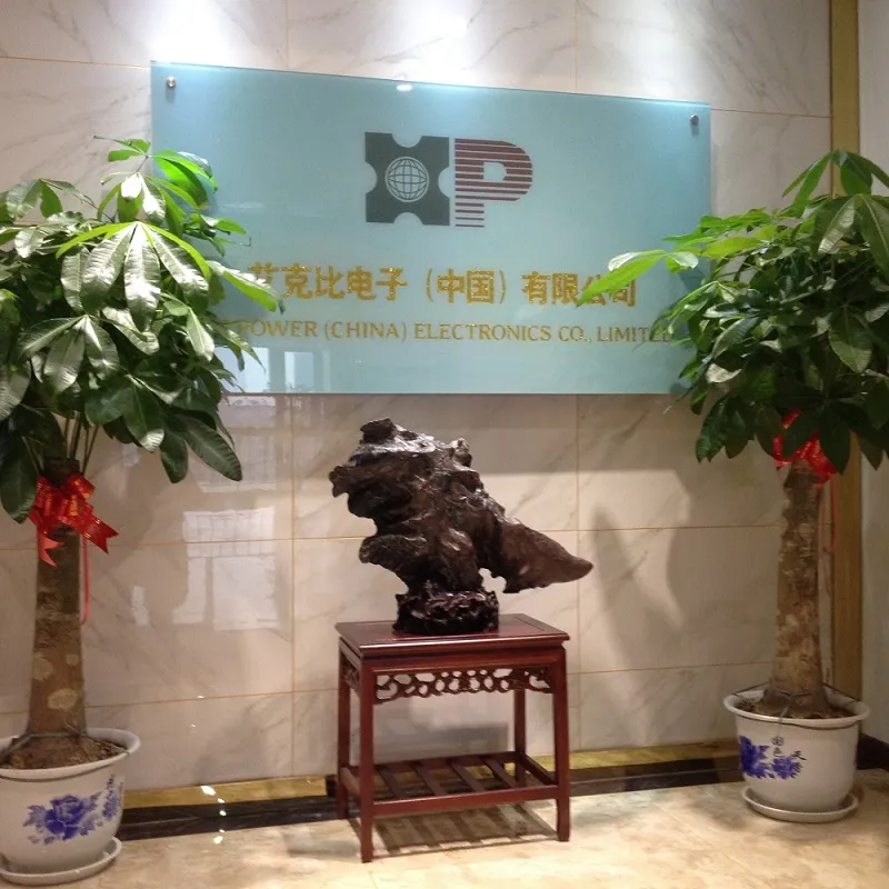 L 핀 일반 모드 전력 인덕터