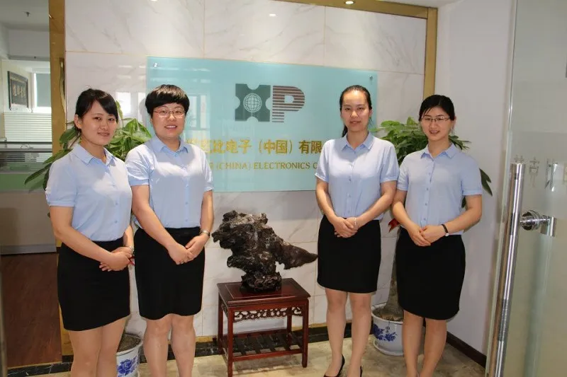 최고 품질의 일반 모드 전력 인덕터 (PI-TC14005)